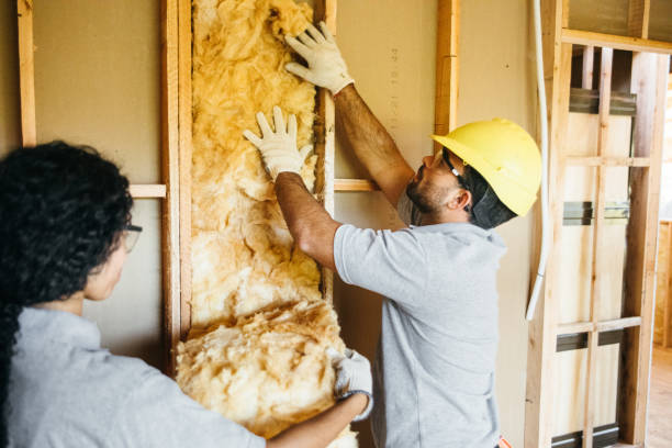 Best Insulation Replacement Services  in South Hill, NY